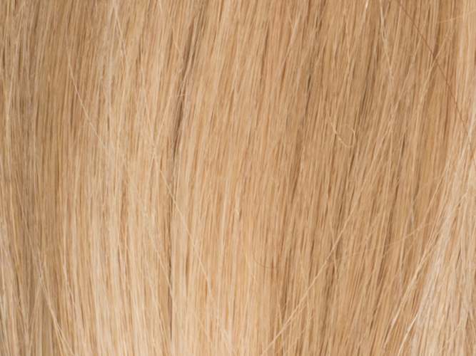Poze Standard Clip & Go Hair Extensions - 125g Glam Blonde 10B/11N - 60cm