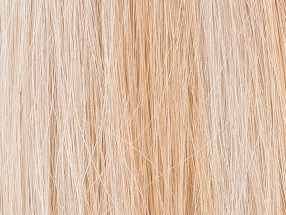 Poze Standard Clip & Go Hair Extensions - 125g Dirty Blonde Mix 10B/12AS - 50cm