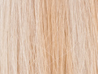Poze Premium Hair Weft - 110g Dirty Blonde Mix 10B/12AS - 50cm
