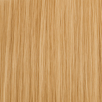 Colorsample - 9N Natural Blonde