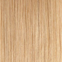 Colorsample - 10B Sand Blonde