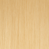 Colorsample - 11V Beach Blonde